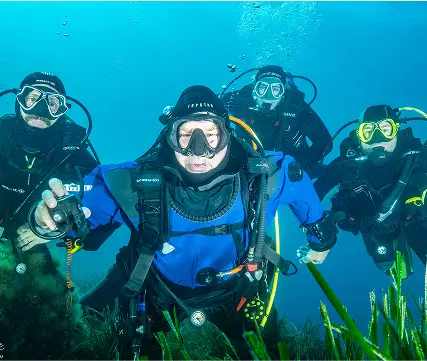 Un groupe de plongeurs sous marins au milieu de la posidonie
