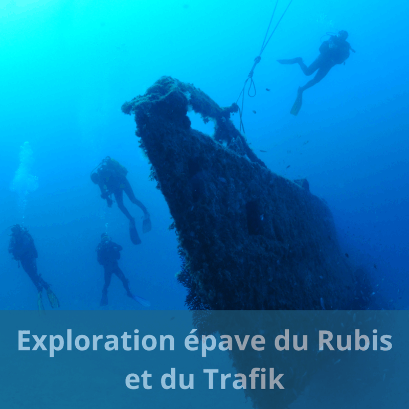 Exploration Épaves du Rubis