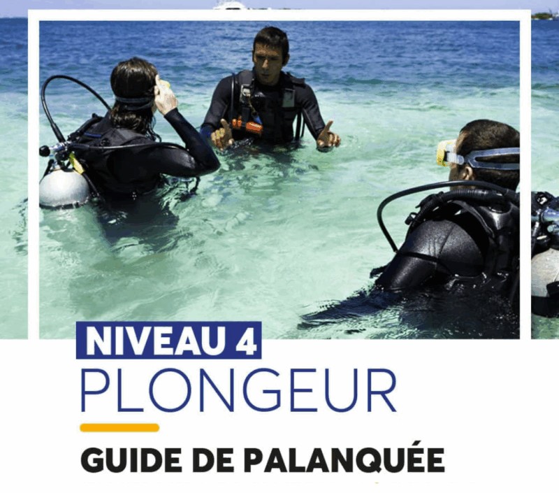 Plongeur Niveau 4