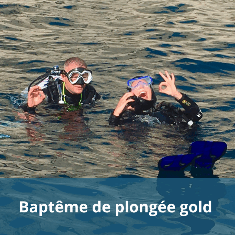 Baptême de Plongée Gold