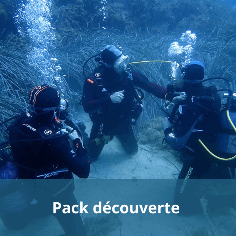 Pack Découverte