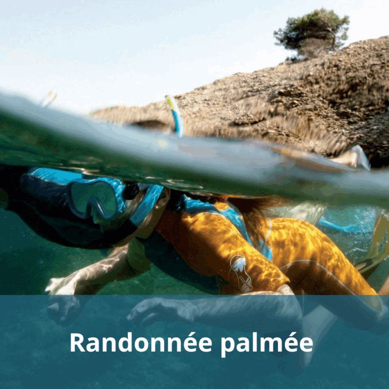 Randonnée Palmée