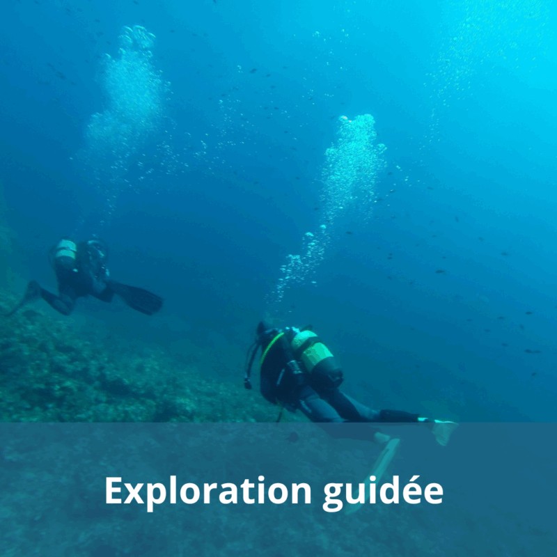 Exploration Guidée