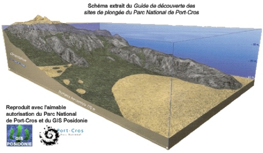 Photographie de la pointe de la croix à port cros